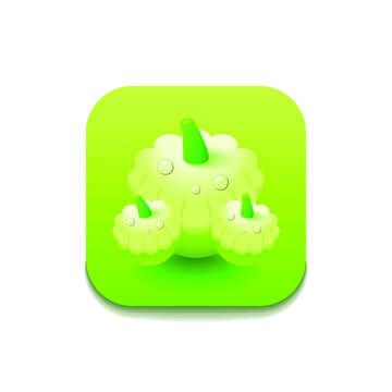 Green Squash Vegetable Food Logo Vector Symbol Icon Design Style
