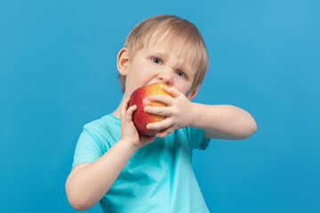 Hungry child bites apple violently. Close-up studio shot on blue background. Baby food concept.