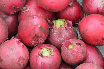 close up of a radish