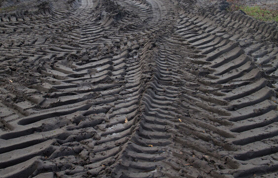 After the harvest, tire tracks of heavy machinery in mud