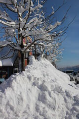 Wunderschöne Winterlandschaft auf dem Feldberg im Schwarzwald