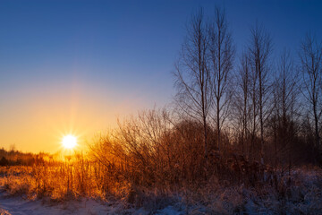 Fototapeta na wymiar Dry grass in the rays of the winter sun at dawn. Winter beautiful landscape.