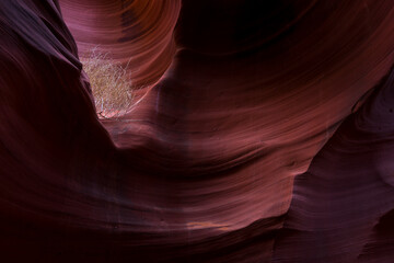 Rattlesnake canyon, Antelope Canyon, Page, Arizona, USA
