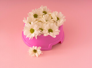 Pink Dog food bawl filed with white flowers. Pet equipment isolated on Pink background. 