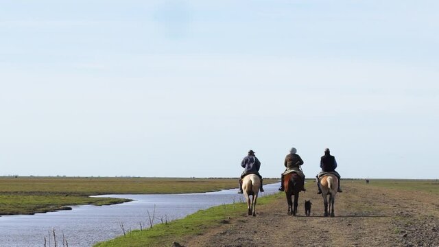 Cowboys on horseback down the dirt road, with their dogs, along the stream with their dogs by their side.
