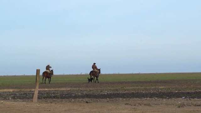 Two cowboys riding in the middle of the field, in slow motion, with their dogs by their side.