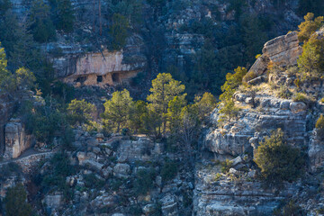 Fototapeta na wymiar Walnut Canyon National Monument, Flagstaff, Arizona, USA, America
