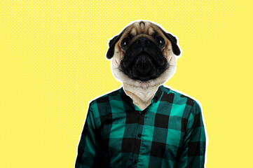 Collage - portrait of a man with a pug head. Magazine culture concept in modern style.