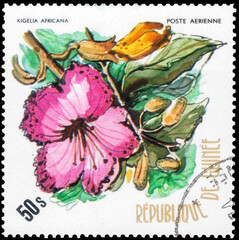 Postage stamp issued in the Guinea with the image of the Kigelia africana. From the series on Native flowers, 1974