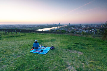 Picknick am Weinberg über Wien