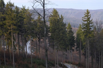 Owl Mountains, Poland