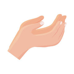 hands human receiving isolated icon