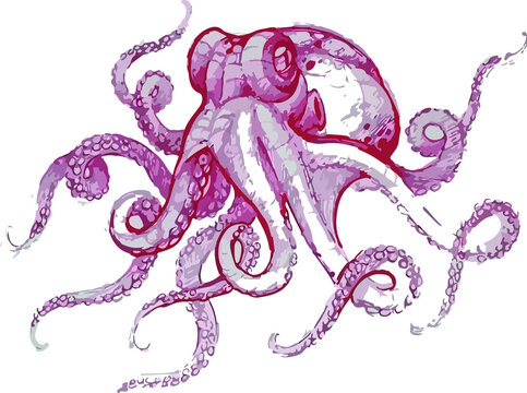 hand drawn illustration of a octopus