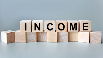 The inscription income on wooden cubes isolated on a light background, the concept of business and finance.