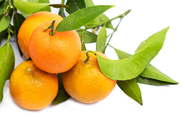 natural tangerines with leaves isolated on white