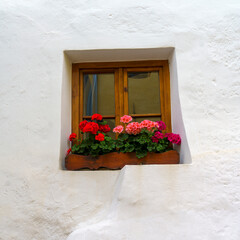 Glorenza, historic village in Venosta valley. Window