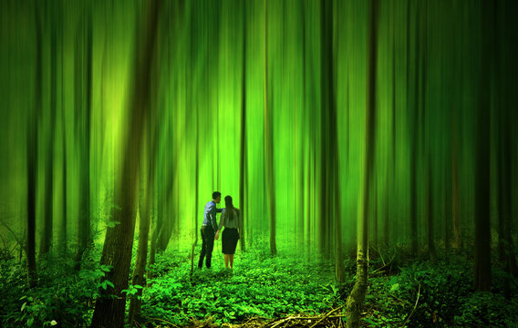 P&auml;rchen erkundet einen Wald