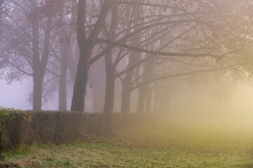 Multitude of colors at sunrise