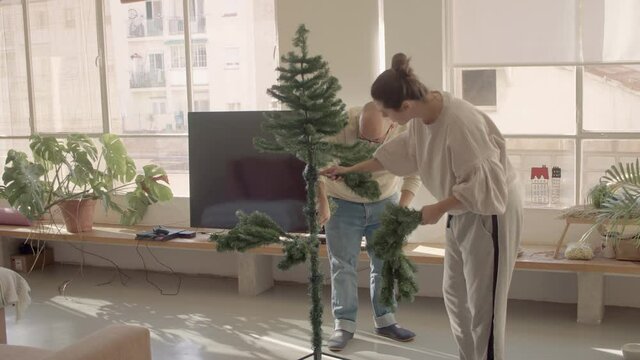 Winter sunny morning. Boyfriend and girlfriend in a home wear mounting an artificial Christmas tree. Brunette caucasian woman and a bold mixed race man in the glasses. 4k high quality video footage.