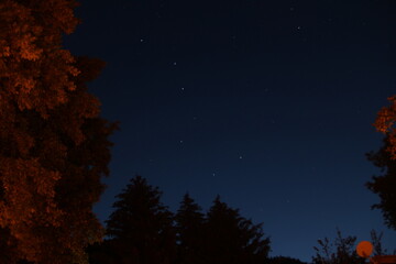 autumn trees at night © Tomasland