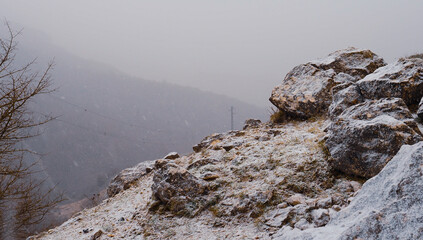 woman walking in the mountains with her dogs