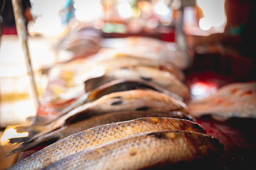 Mercado do Peixe Mosqueiro Belém-PA