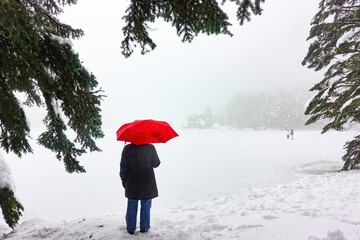 A person with a red umbrella in Golcuk National Park during a blizzard in winter season - Bolu, Turkey
