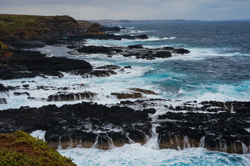Detroit Bass in Phillip Island