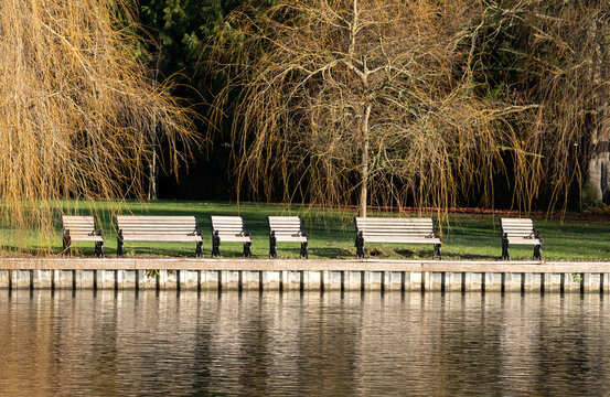 Wood and metal benches laid out in a row beside a willow tree, overlooking the River Thames at Cookham, Berkshire, UK. Photographed on a clear, cold day in December.