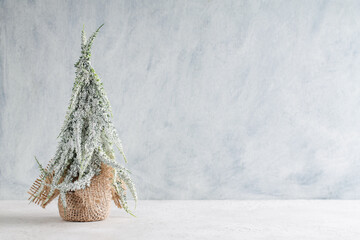 Winter background with a fluffy snowy fir-tree. Christmas time.
