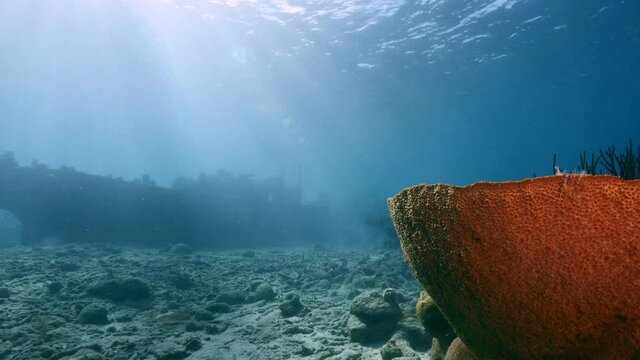 Ship wreck "Tugboat" in coral reef of Caribbean sea with sponge and sunbeams