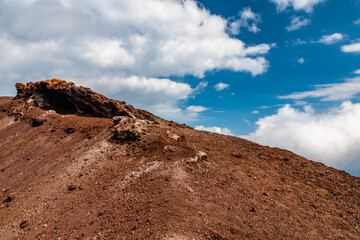 Mount Etna volcanic landscape and its typical vegetation, Sicily
