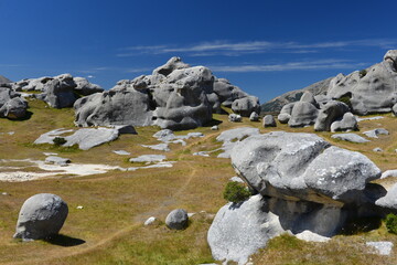 Castle Hill at Arthur's Pass National Park New Zealand