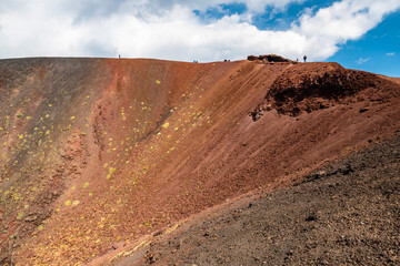 Mount Etna volcanic landscape and its typical vegetation, Sicily