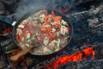 Frying chicken with vegetables in pan on fire. Winter picnic in forest