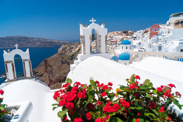 Fototapeta premium Red flowers bougainvillaea with background in Greek white orthodox church with bell tower on Santorini island, Oia, Cyclades, Greece
