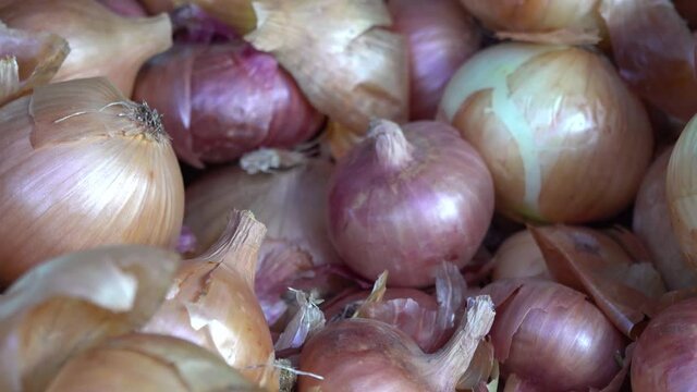  Onion and garlic on the counter of the farmers market close-up