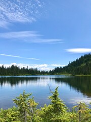 Reflective nature view