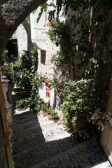 Fototapeta na wymiar Traditional narrow stair street leading to the sea. Oia village, in Santorini Island, Greece. Landscape Greek islands