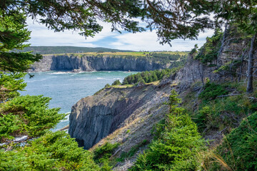 Fototapeta premium A view of the teal blue ocean, tall cliffs, coastline, and rugged rocky shore framed by vibrant green evergreen trees. The sky in the distance is cloudy with a single blue patch breaking through. 