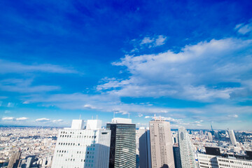 Fototapeta premium 【東京都】新宿都庁展望台より新宿駅方面【2020冬】