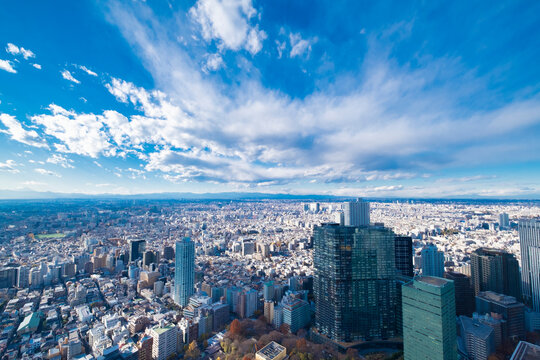 【東京都】新宿都庁展望台より埼玉方面【2020冬】
