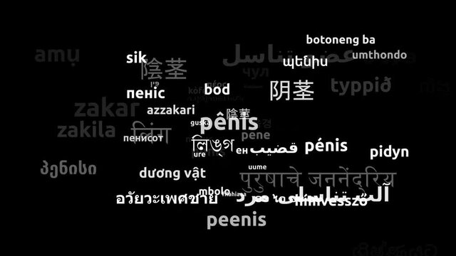 Penis Translated in 57 Worldwide Languages Endless Looping 3d Zooming Wordcloud Mask