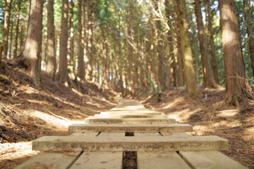 浅間山～大山間の登山道