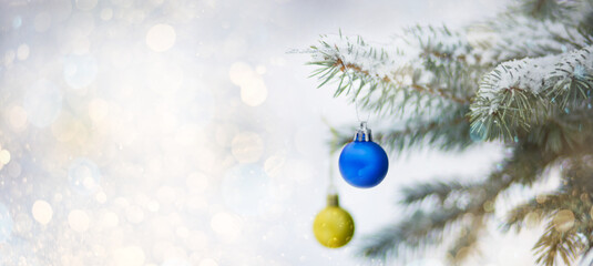 Yellow and blue Christmas tree balls in colors of the flag of Ukraine. toy on snowy tree. Christmas...