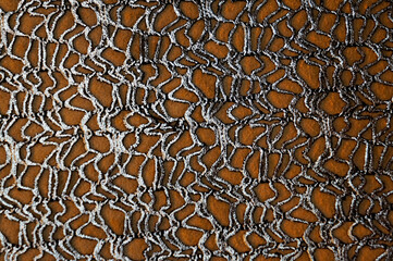 Patterned abstract and organic background