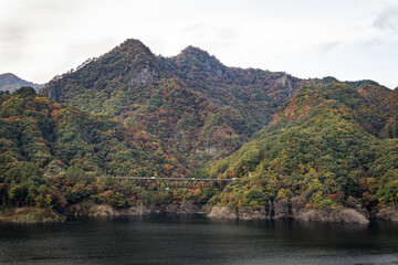 Fototapeta na wymiar 不動大橋からみる紅葉した山の風景　群馬県長野原町