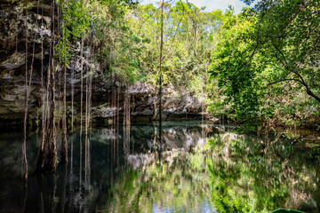 Scenic view of cenotes caves with fresh water in Mexico
