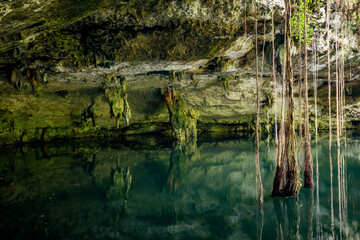 Fototapeta na wymiar Scenic view of cenotes caves with fresh water in Mexico