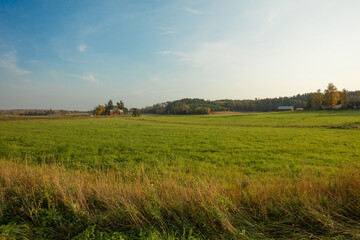 September.Agricultural background. Roadside landscape on a sunny day